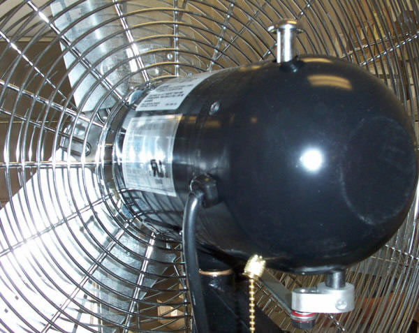 Qmark Oscillating Fan